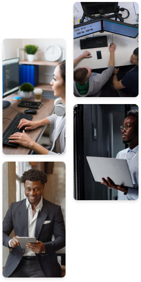 IT Field Management Software Development services