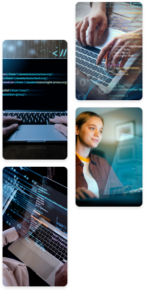 Web Development